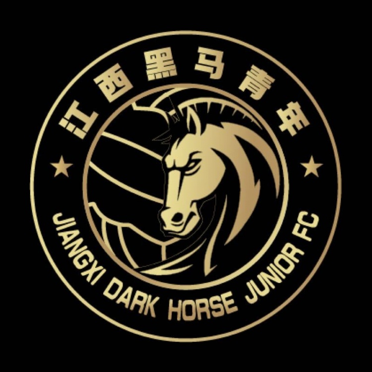  官方：江西黑馬青年完成異地遷移程序，更名為溫州職業(yè)足球俱樂部
